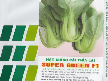 GIỐNG CẢI THÌA LAI - SUPER GREEN F1